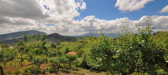 Дом с 3 спальнями в Форче, Италия № 162505 4