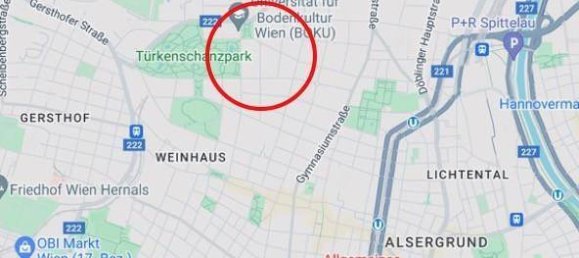 7 Schlafzimmer Villa in Döbling, Austria, Nr. 176828 19