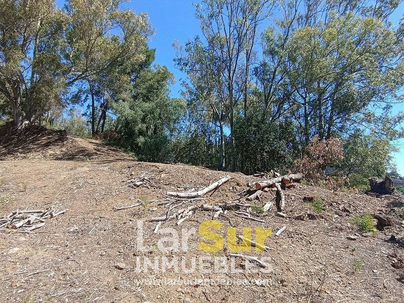  قطعة أرض في Benalmadena, Spain 1010متر مربع رقم 226326