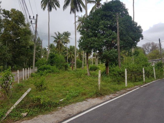5275m² Commercial property in Mai Khao, Thailand No. 12462