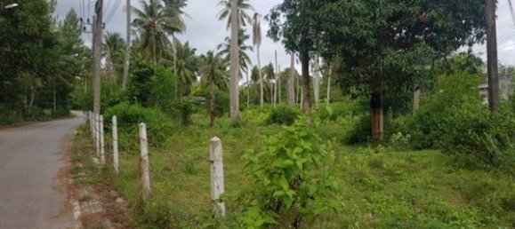 5275m² Commercial property in Mai Khao, Thailand No. 12462 5