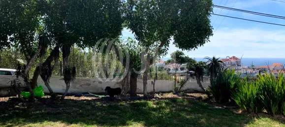 Casa de 3 dormitorios en Colares, Portugal No. 53176 5