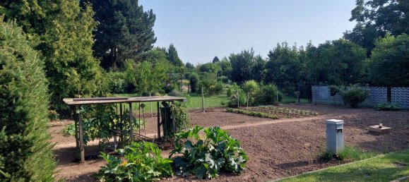 2-Zimmer Bungalow in Saalekreis, Germany, Nr. 323311 4