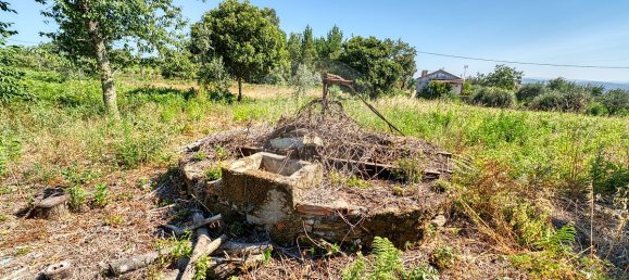2 Schlafzimmer Villa in Beco, Portugal, Nr. 27987 8