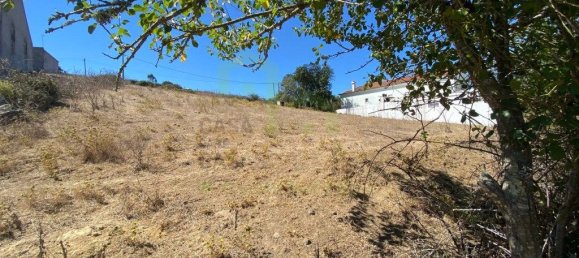 3937m² Land in Ericeira, Portugal No. 78768 3
