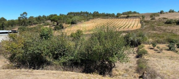3937m² Land in Ericeira, Portugal No. 78768 2