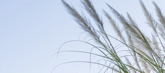 Studio in Marseille, France, Nr. 181933 10