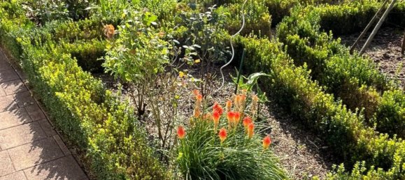 7 غرف نوم تاون هاوس في Merzig-Wadern, Germany رقم 71840 5