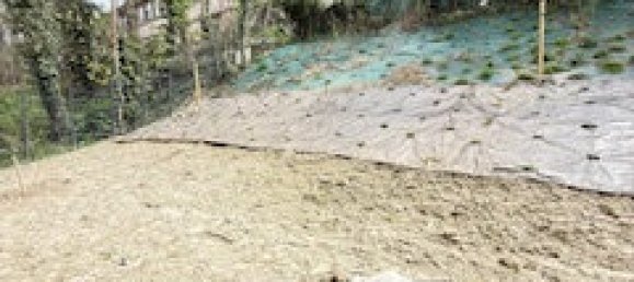 1 bedroom Apartment in Mulhouse, France No. 90720 19