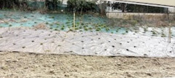 1 bedroom Apartment in Mulhouse, France No. 90720 13