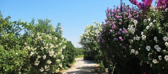 3 Schlafzimmer Villa in Palmela, Portugal, Nr. 119906 5