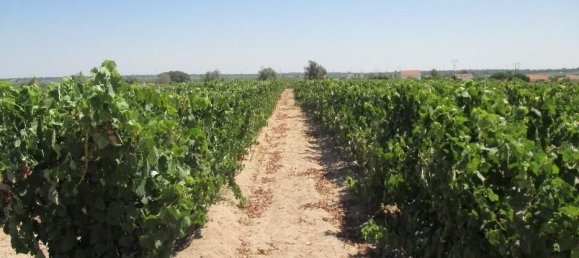 3 Schlafzimmer Villa in Palmela, Portugal, Nr. 119906 12