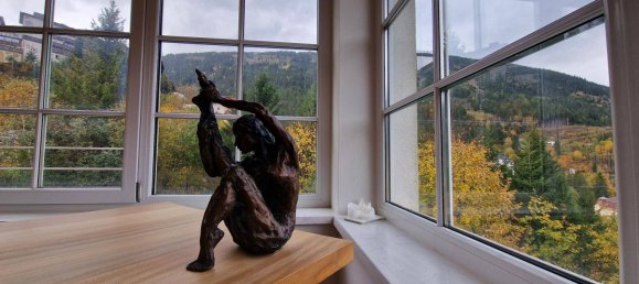 3 غرف نوم شقة في Bad Gastein, Austria رقم 150439 6