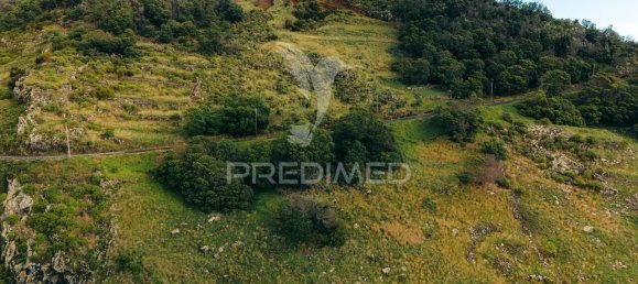  Land in Machico, Portugal No. 144003 10