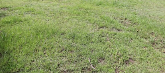  قطعة أرض في Veteran, Australia 4000متر مربع رقم 1056 13