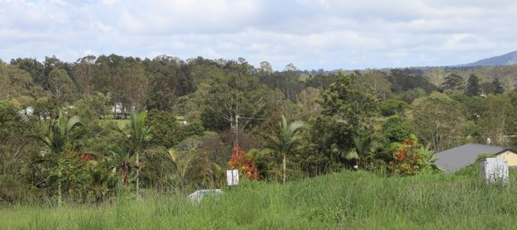  قطعة أرض في Veteran, Australia 4000متر مربع رقم 1056 8