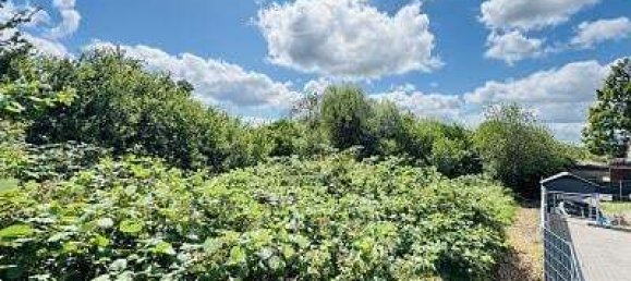 Terrain à Hamburg-Mitte, Germany 1561m² No. 274102 4