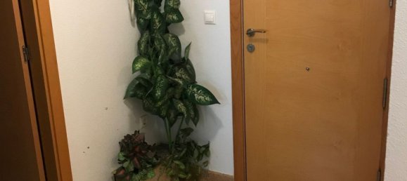 3 غرف نوم شقة في El Altet, Spain رقم 157086 19