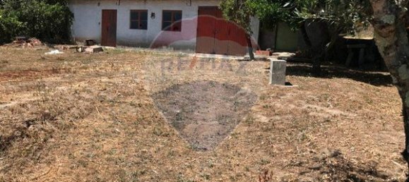 Terrain à Canas de Senhorim, Portugal 379m² No. 52084 2