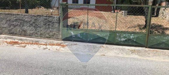 Terrain à Canas de Senhorim, Portugal 379m² No. 52084 4