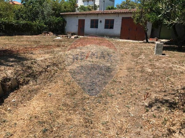 Terrain à Canas de Senhorim, Portugal 379m² No. 52084