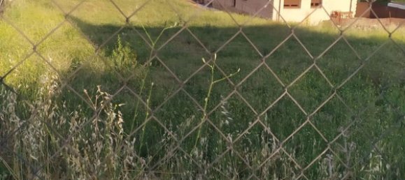  Land in El Molar, Spain No. 135730 2