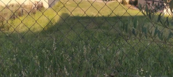  Land in El Molar, Spain No. 135730 3