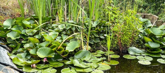 6-Zimmer Haus in Brandenburg, Germany, Nr. 88884 34