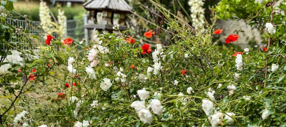 6-Zimmer Haus in Brandenburg, Germany, Nr. 88884 3