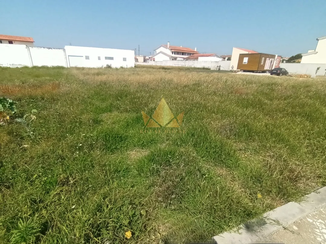  Land in Vieira de Leiria, Portugal No. 222829