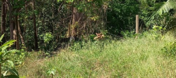  Land in Puntarenas, Costa Rica No. 1376 6