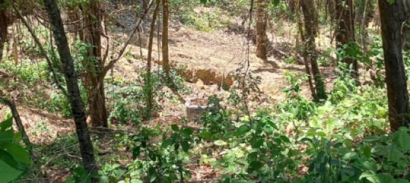  Land in Puntarenas, Costa Rica No. 1376 8