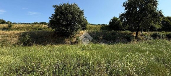 Grundstück in Affi, Italy 800m², Nr. 262540 17