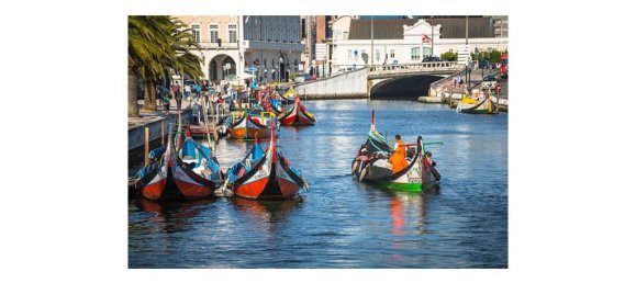 420m² Land in Esgueira, Portugal No. 73831 9