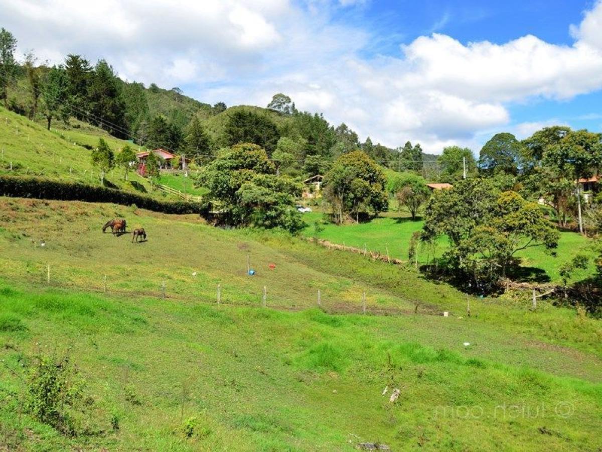 Земельный участок в Антьокия, Колумбия № 562