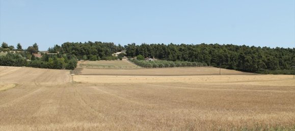 4050m² Hotel in Chalkidiki, Greece No. 7834 2