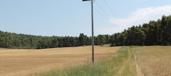 4050m² Hotel in Chalkidiki, Greece No. 7834 4