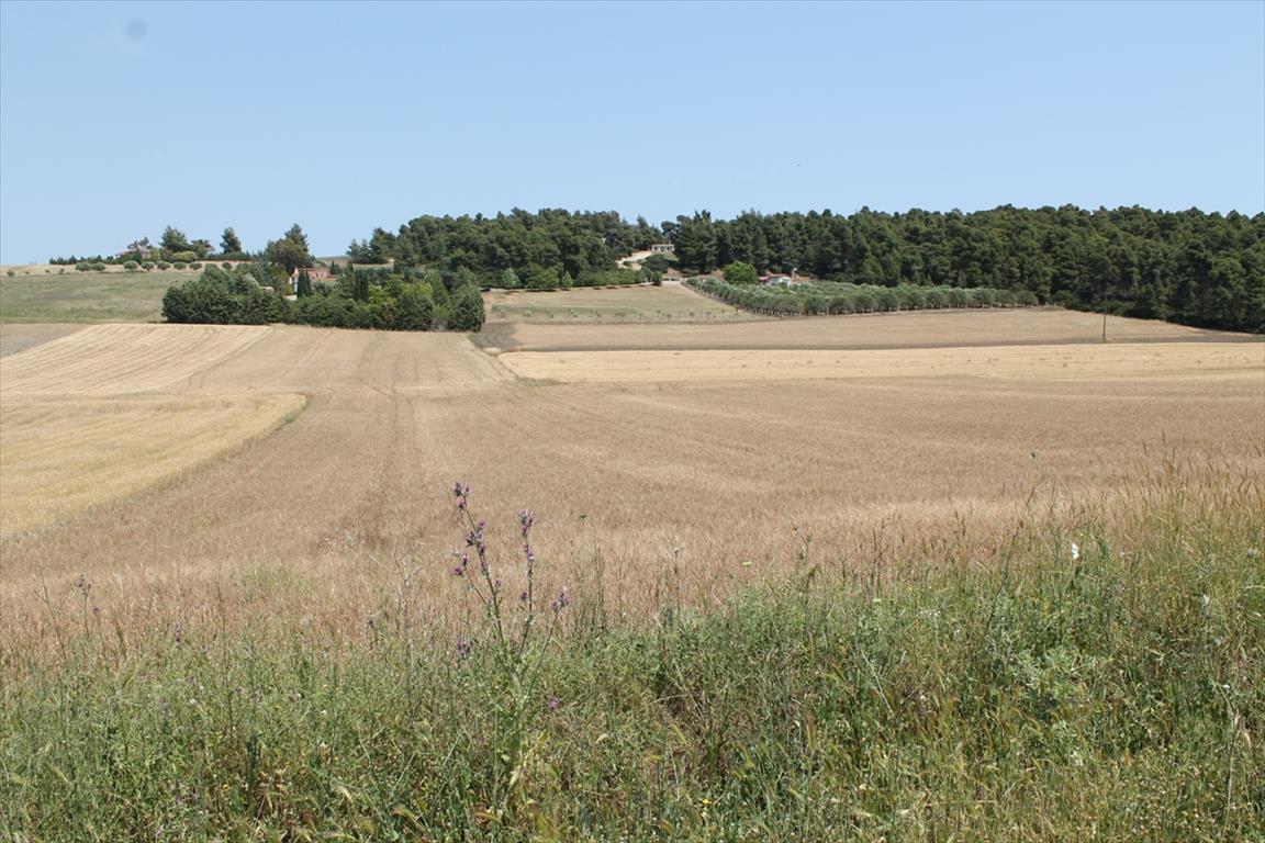  فندق في Chalkidiki, Greece 4050متر مربع رقم 7834
