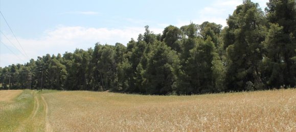 4050m² Hotel in Chalkidiki, Greece No. 7834 3