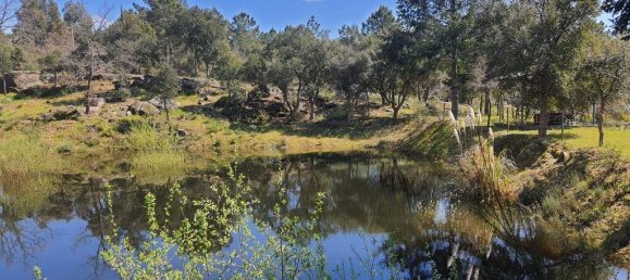 4 bedrooms House in Coimbra, Portugal No. 190714 26