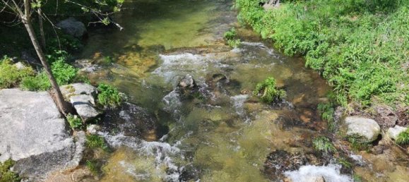 4 bedrooms House in Coimbra, Portugal No. 190714 28