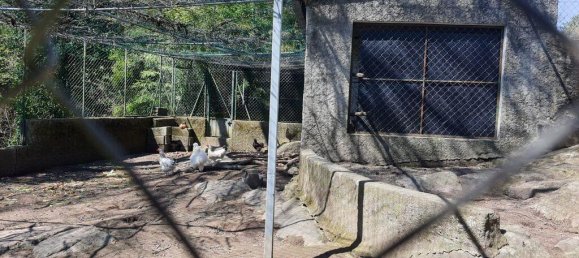 4 bedrooms House in Coimbra, Portugal No. 190714 22