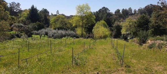 4 bedrooms House in Coimbra, Portugal No. 190714 25