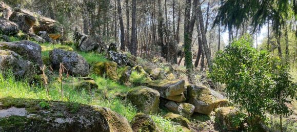 4 bedrooms House in Coimbra, Portugal No. 190714 16