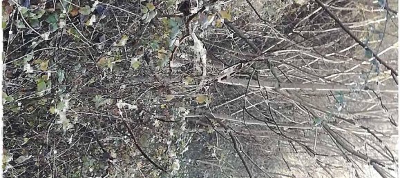 5 rooms Apartment in Castelfranco Piandiscò, Italy No. 376052 3