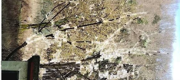 5 rooms Apartment in Castelfranco Piandiscò, Italy No. 376052 4