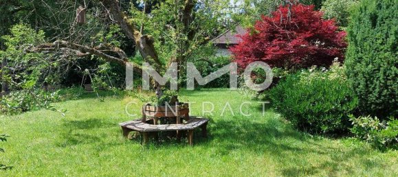 7 rooms Bungalow in Ries, Austria No. 157555 2