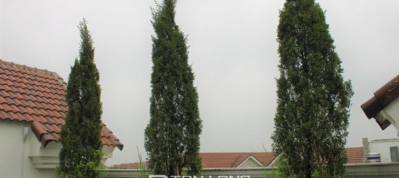 Villa T6 em Long Bien, Vietnam N.º 903 22