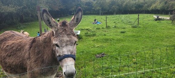 6 Schlafzimmer Haus in Blessy, France, Nr. 313271 9