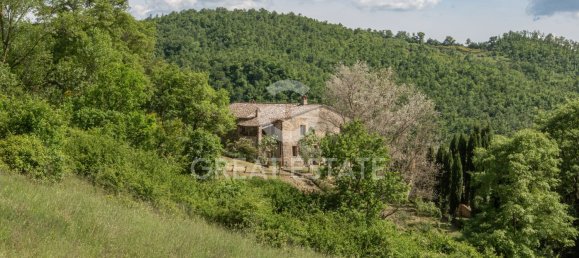 13 rooms House in San Casciano dei Bagni, Italy No. 27506 30